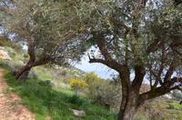 Wanderung auf dem Aphrodite-Weg