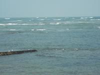 Fisch-Schleusen in Les Baleines an der Spitze der Ile de Re