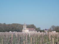 Weingut im  Medoc