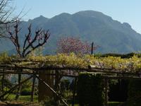 Ravello Villa Cimbrone 7