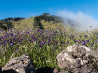 Wanderung auf den Hochweiden von El Hierro