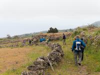 Wanderung auf den Hochweiden von El Hierro