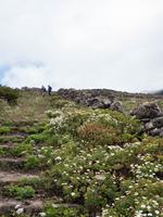 Wanderweg nach Sabinosa