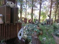 Botanische Garten Kloster Lluc