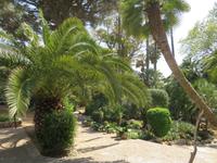 Arabische Gärten von Alfabia