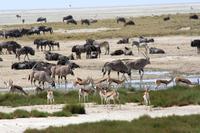 Gruppenbild am Pfannenrand