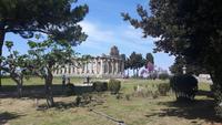 Paestum