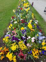 Bayreuth; Erimitage (10)