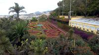Funchal,Botanischer Garten