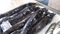 Funchal, Markthalle-schwarzer Degenfisch