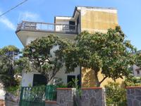 Italien, Santa Maria di Castelabate, Mispelbaum