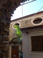 Italien, Castellabate