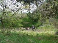 Italien, Magliano Nuovo, Calore Schlucht