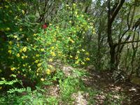Italien, Magliano Nuovo, Calore Schlucht