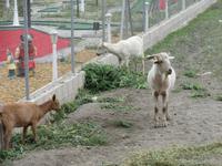 Tabernas Wüste (20)