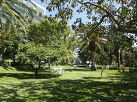 Giardini Naxos - Hotelgarten