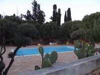 Agriturismo - Poolanlage