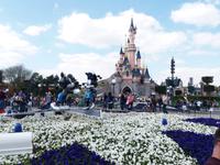 Sleeping Beauty Castle