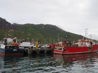 Hout Bay Hafen