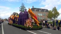 Blumenkorso in der Nähe von Lisse