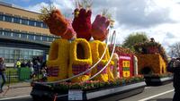 Blumenkorso in der Nähe von Lisse