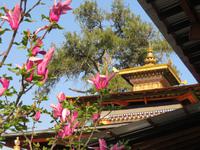 Impressionen Kyichu Lhakhang Dzong Paro