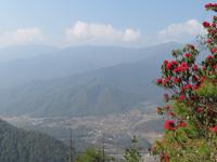 Paro-Tal
