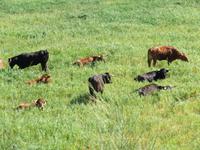 Via Verde de la Sierra