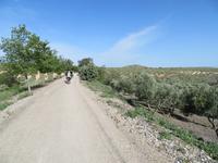 Via Verde del Aceite
