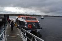 Tenderboot der Norwegian Sun im Hafen von Stanley