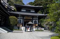 Besuch des Kamakura Hase Tempel