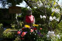 Besuch des Kamakura Hase Tempel