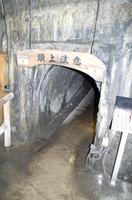 Besuch des Kamakura Hase Tempel