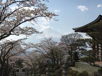 Blick auf den Fuji-san in Hakone