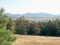 Zlatiborgebirge