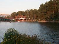 Zlatibor