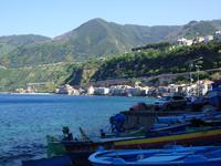 Scilla