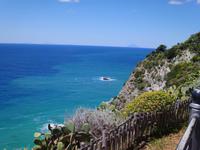 Capo Vaticano