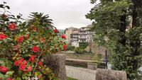 Amarante (2)