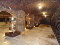 Endlose Flaschenreihen und alte Geräte im Keller von 