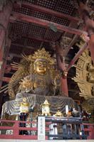 Besichtigung des Tempels Todai-ji