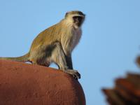 na... bleib draussen