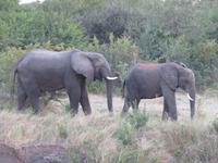 Sundowner Bootsfahrt Sambia