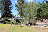 Apfelkuchen-Pause in Helmeringhausen