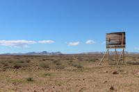 Am südlichen Wendekreis des Steinbocks