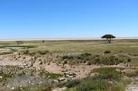 Etosha Nationalpark