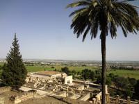 Ausgrabungen der roemischen Regierungs-Stadt 