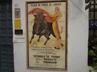 Das ewige Torrero Plakat
