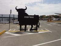 aus dieser Werbung wird ein Landessymbol