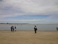 Muendung des Guadalquivirs